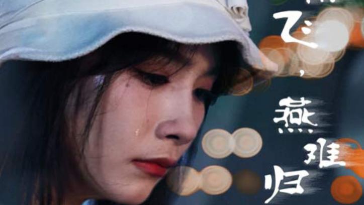 短剧《燕南飞，燕难归》：31 集的家国爱恨与宿命悲歌