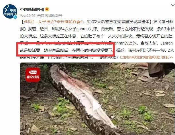 印度尼西亚一名54岁的妇女失踪两天后，人们在蛇肚子里找到了她！
2024年初的一