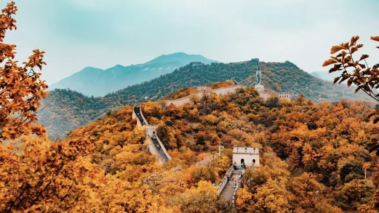 寒露至，秋意浓，护好耳鼻喉安度秋
