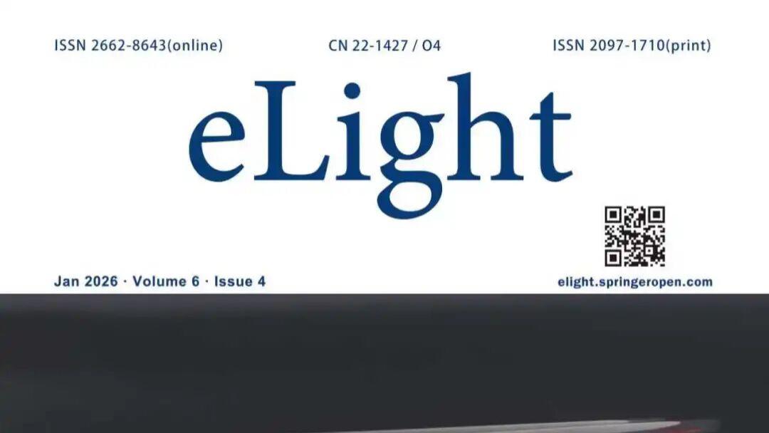 eLight | 隐藏对称网络中的完美量子态传输