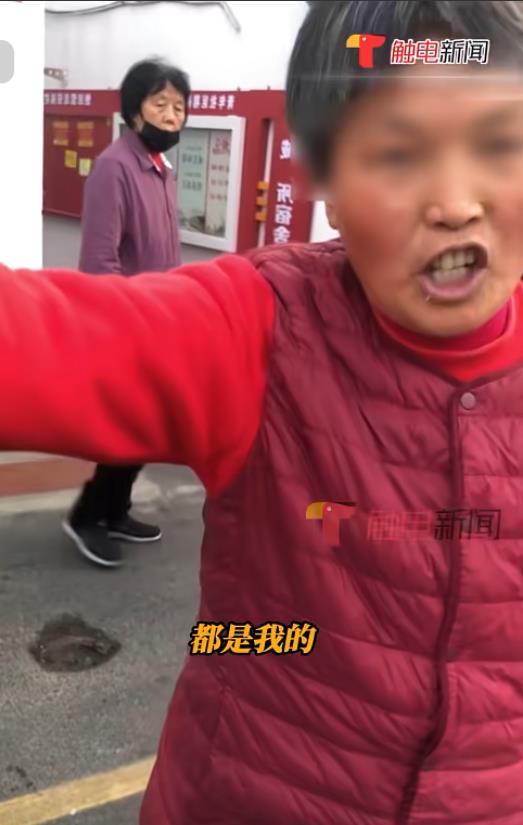 安徽合肥，一名985女研究生凌晨帮父亲摆摊卖菜，摊位被掀翻，可她一没哭二没闹，而