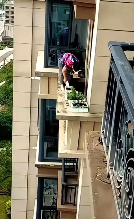 小区阳台种菜的一幕。

不得不说，这样真的很危险，不建议这样操作。[捂脸哭][捂