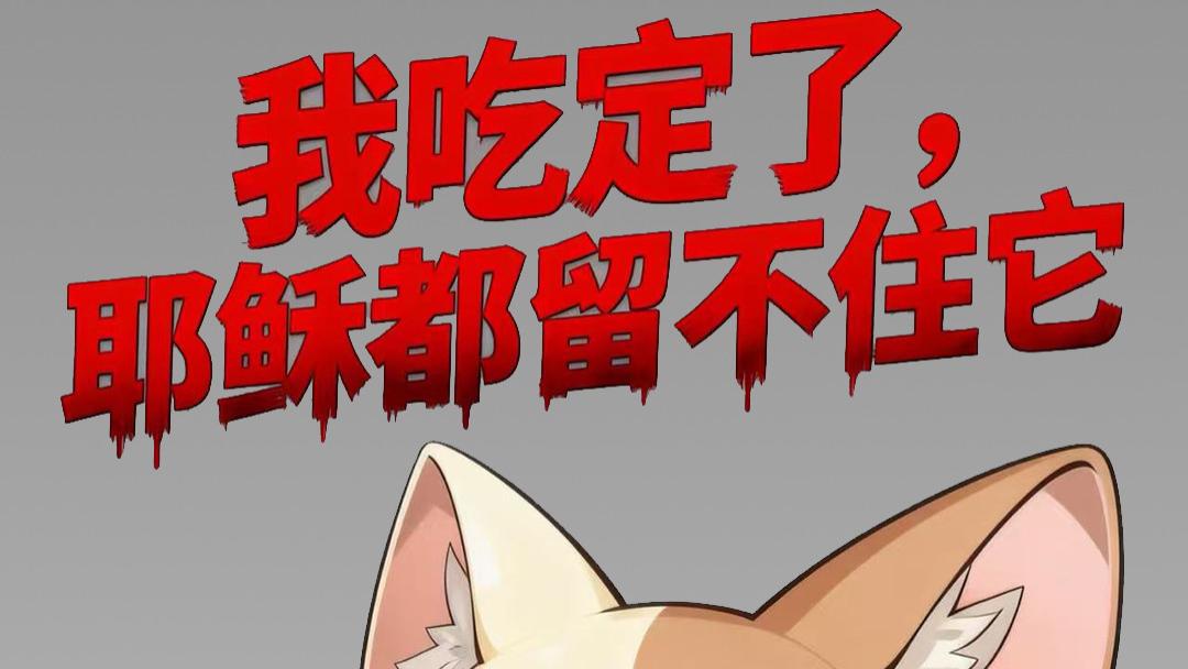 日常治愈小欢喜！福运猫熙和四大招财名场面太讨喜😂