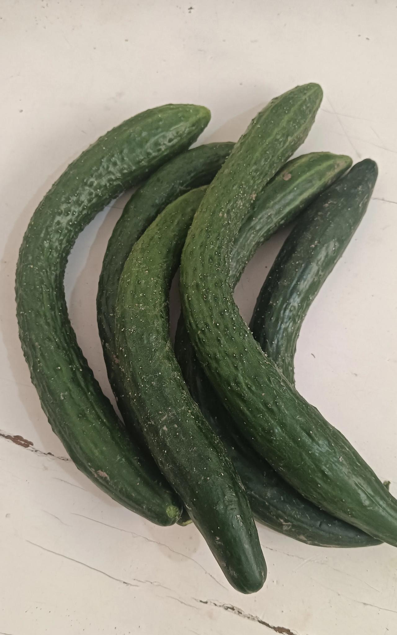 早上邻居送来几条黄瓜，收下时我一连说了好几句谢谢，他摆摆手就回家去了。
我把黄瓜