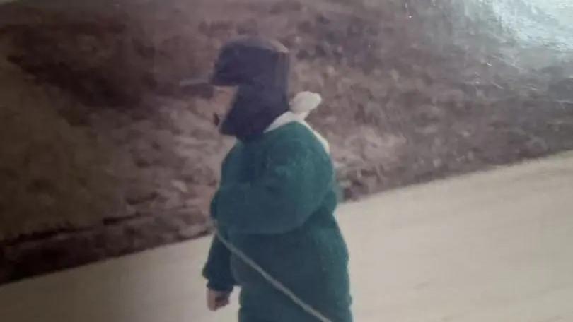 ​听潮阁T.大象：漂泊游子重生记