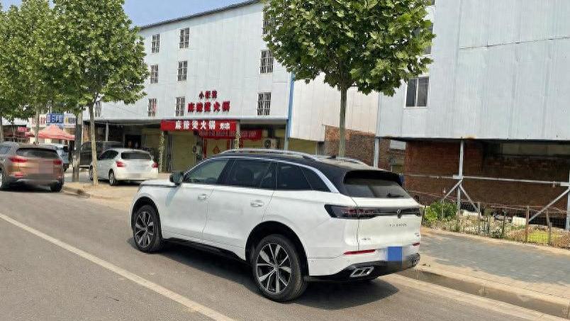 揽巡的内饰设计更是将奢华与科技完美融合