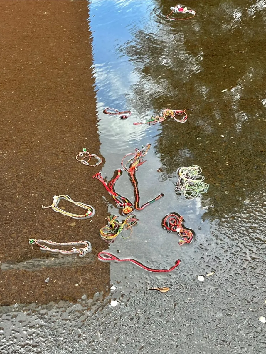 谁能解释东北这种现象啊？
端午后下的第一场雨
东北水坑的现状…[石化]
