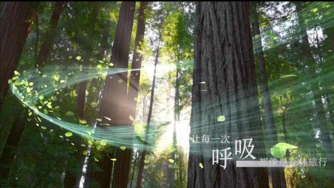 21分贝超静音，海信中央空调让睡眠更安稳