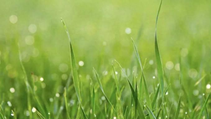 “京腾生态”，种草营销的另一片沃土