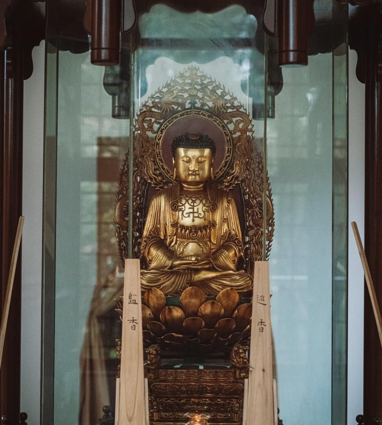 禅心如月，照亮前行。在黑暗与迷茫中，保持内心的明亮与坚定，让心灵成为指引我们前行