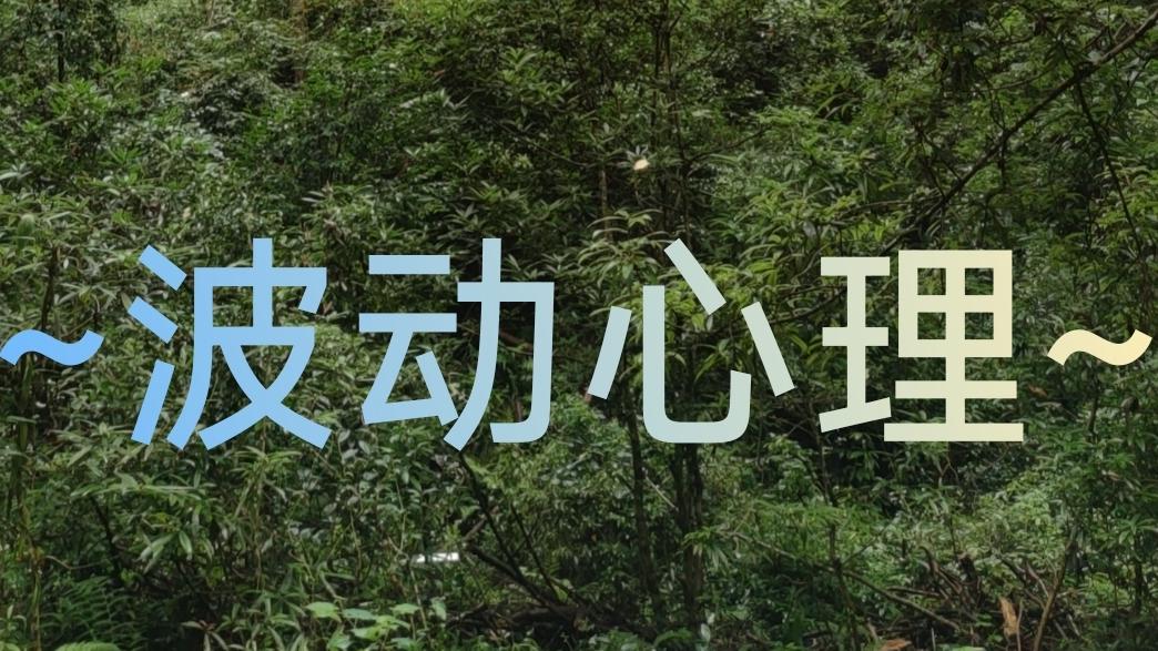 怎样才是真正的休息？｜波动心理