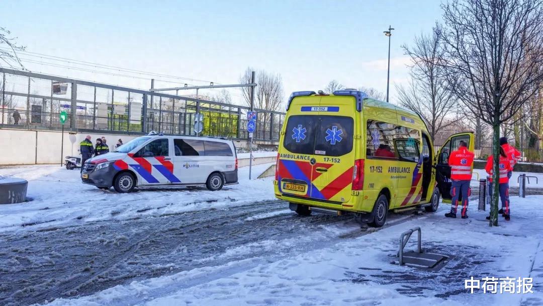 扔雪球竟致人死亡？荷兰两少年因与60岁男子冲突被捕