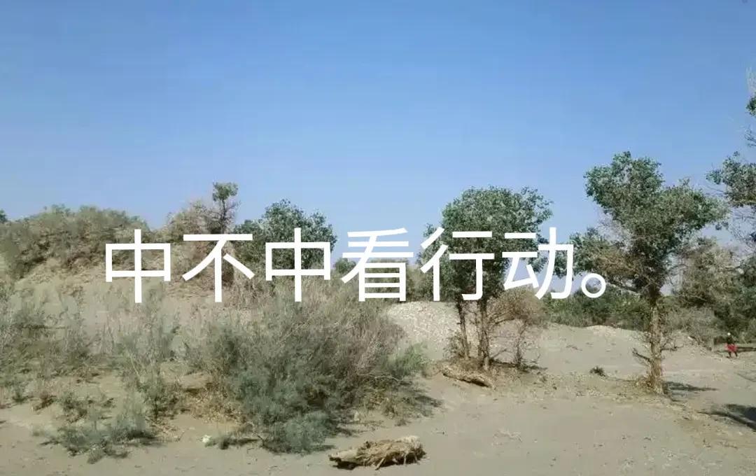 自从两孩童唱某首歌在网上发酵以后，不可思议的一幕出现了，某圈圈大小主播几乎全部在
