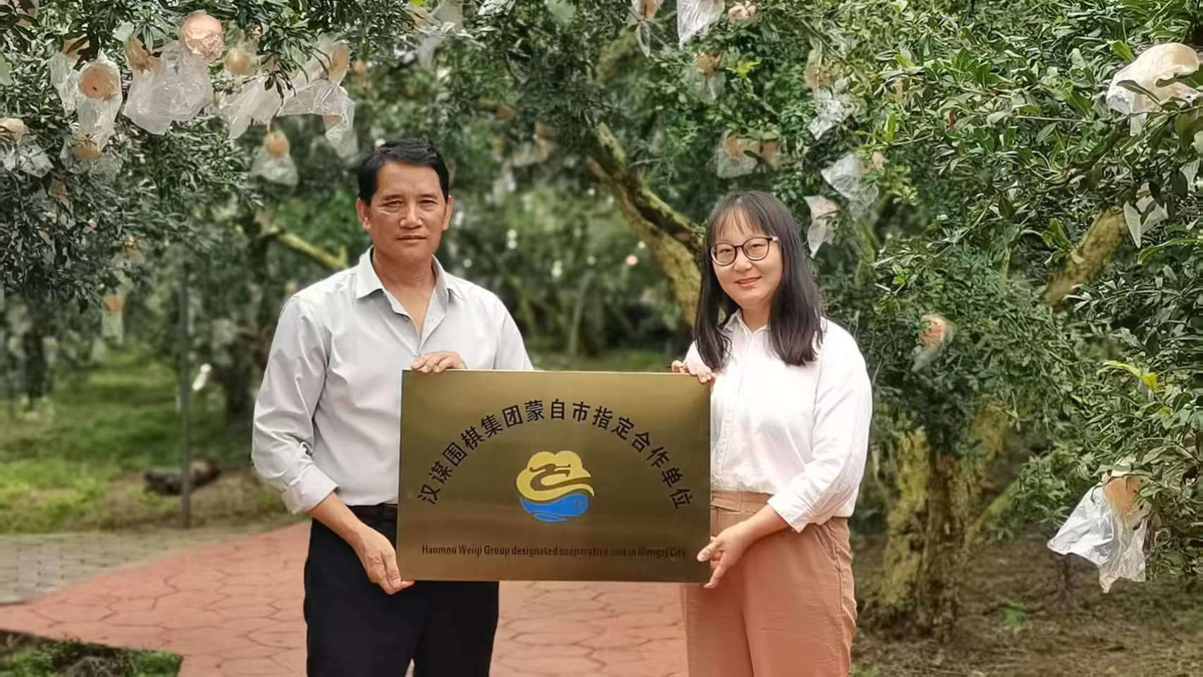 汉谋围棋跨界授牌，百年古树石榴焕新机​