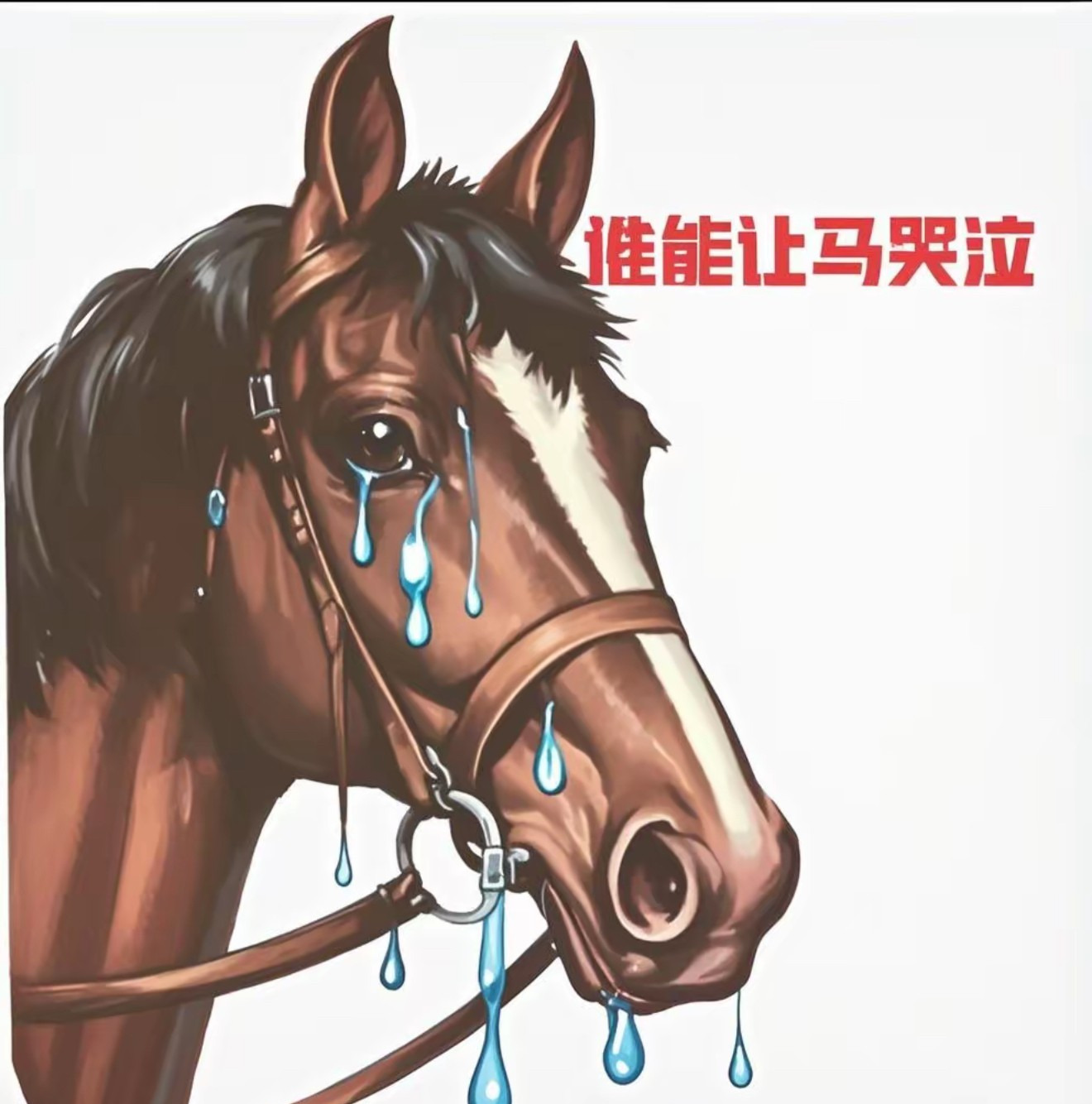 驯马人竟然能把马搞哭？











我勒个去！真不敢相信，印度竟然又爆