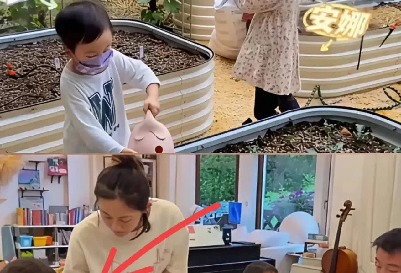 36岁的苗苗，
真的给所有妈妈上了一课！

一桌子饭菜，她只顾着喂小的，剩