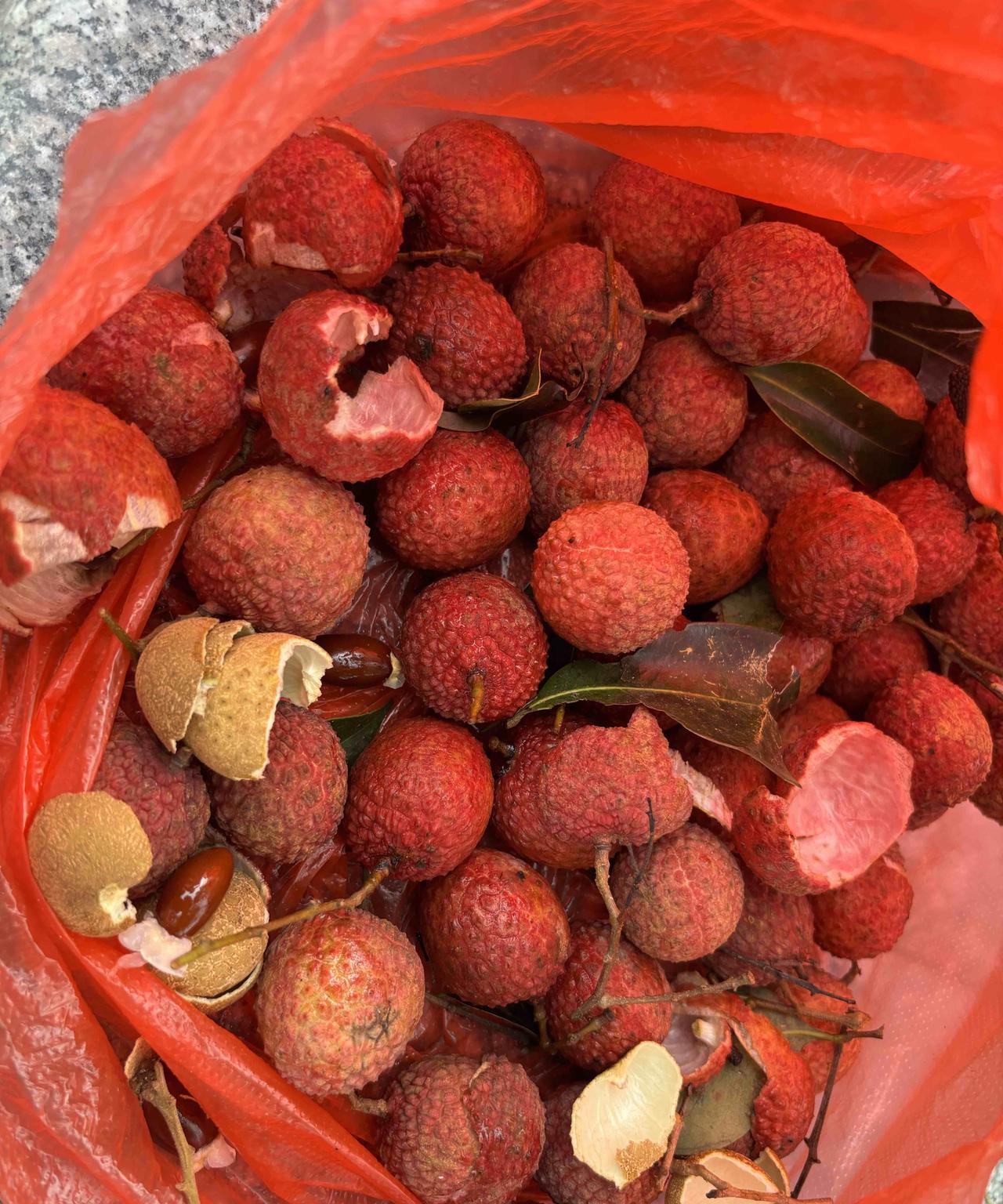 广州景区附近都有很多卖荔枝、龙眼、黄皮的，买了点荔枝和龙眼，便宜又新鲜，感觉跟沈