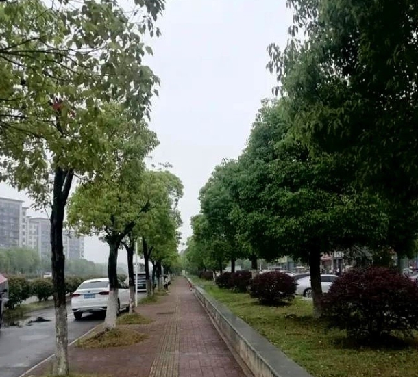 刚才刷视频，看到五一苏州相亲市场。

真伤透了大龄剩女的心，几个女孩自我嘲讽道，