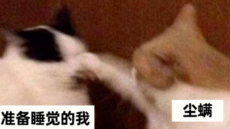 家用除螨仪是否真有用？除螨仪看不到螨虫怎么回事？盘点2026性价比最高的十大除螨仪机型！