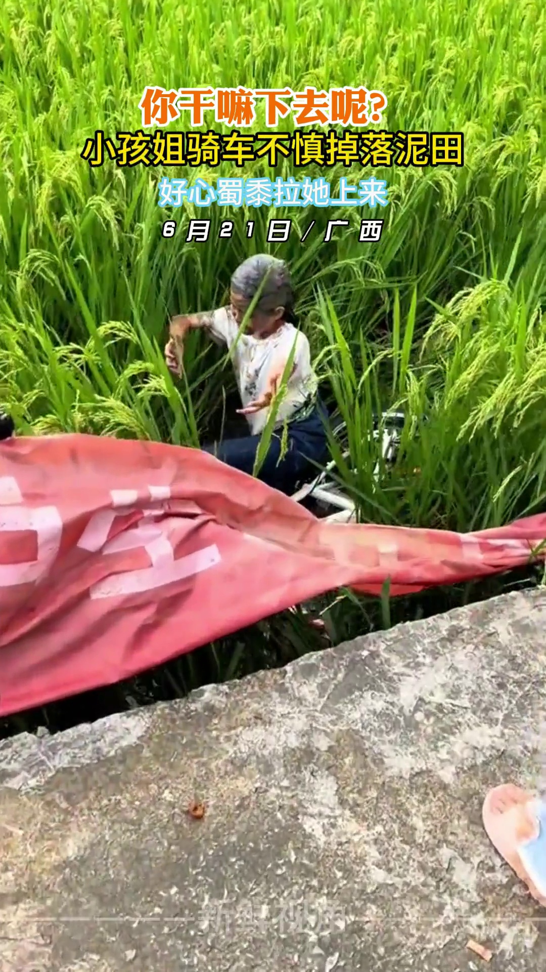 你干嘛下去呢？小孩姐骑车不慎掉落泥田 好心蜀黍拉她上来