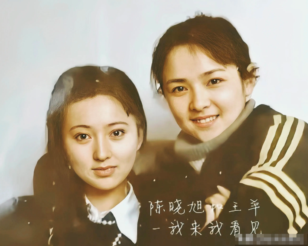 王羊比陈晓旭要漂亮啊

虽然她比陈晓旭大十三岁，但是从两个人的合影中，看不出年龄