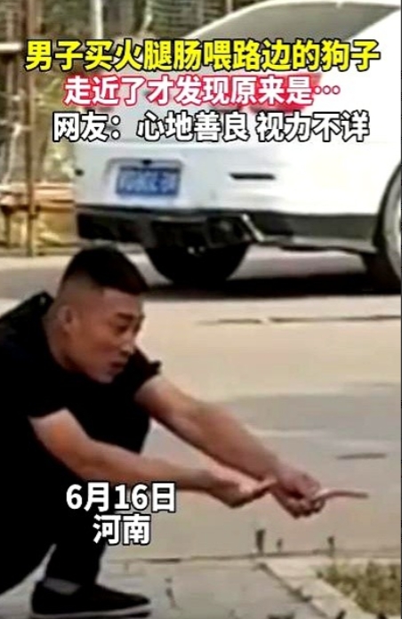 “笑不活了！”6月16日，河南，一男子买火腿肠喂路边的狗子，然而，不管男子怎么招