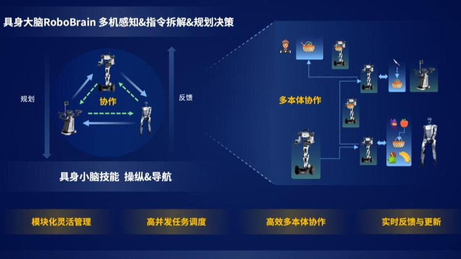 迈向群体智能 智源首个跨本体具身大小脑协作框架与开源具身大脑