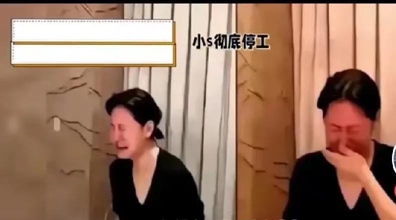 小S因为大S离世，未走出丧姐之痛，一直停工，现在已离台。
不站队也不黑谁！
希望