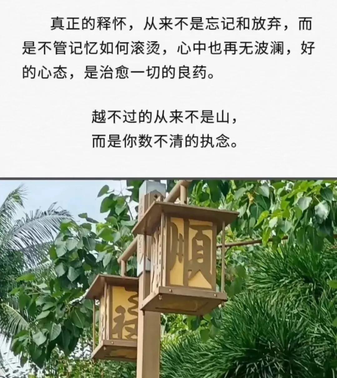 顺其自然，放下执念，治愈一切。