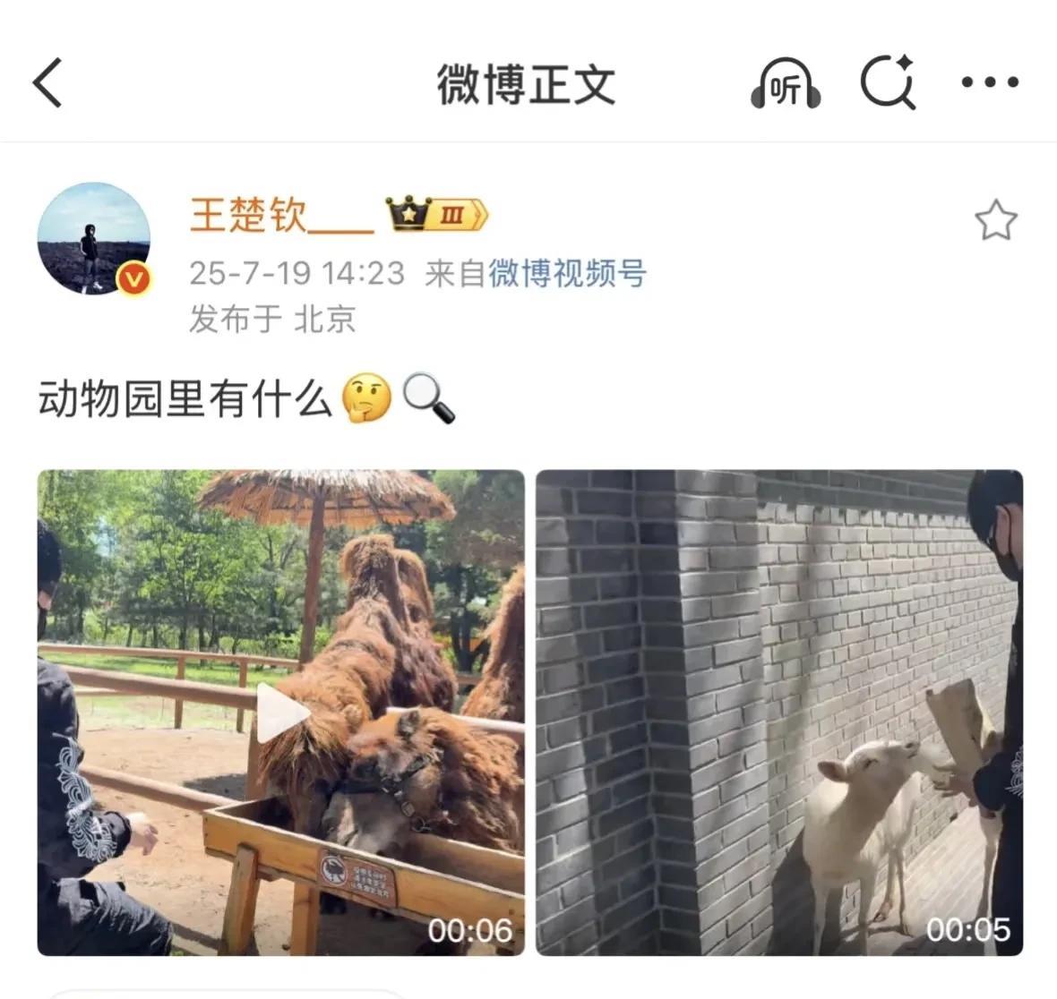 童心未泯的楚钦今天更新了一条动态，是自己在动物园喂骆驼，喂小羊的视频！
其实感觉