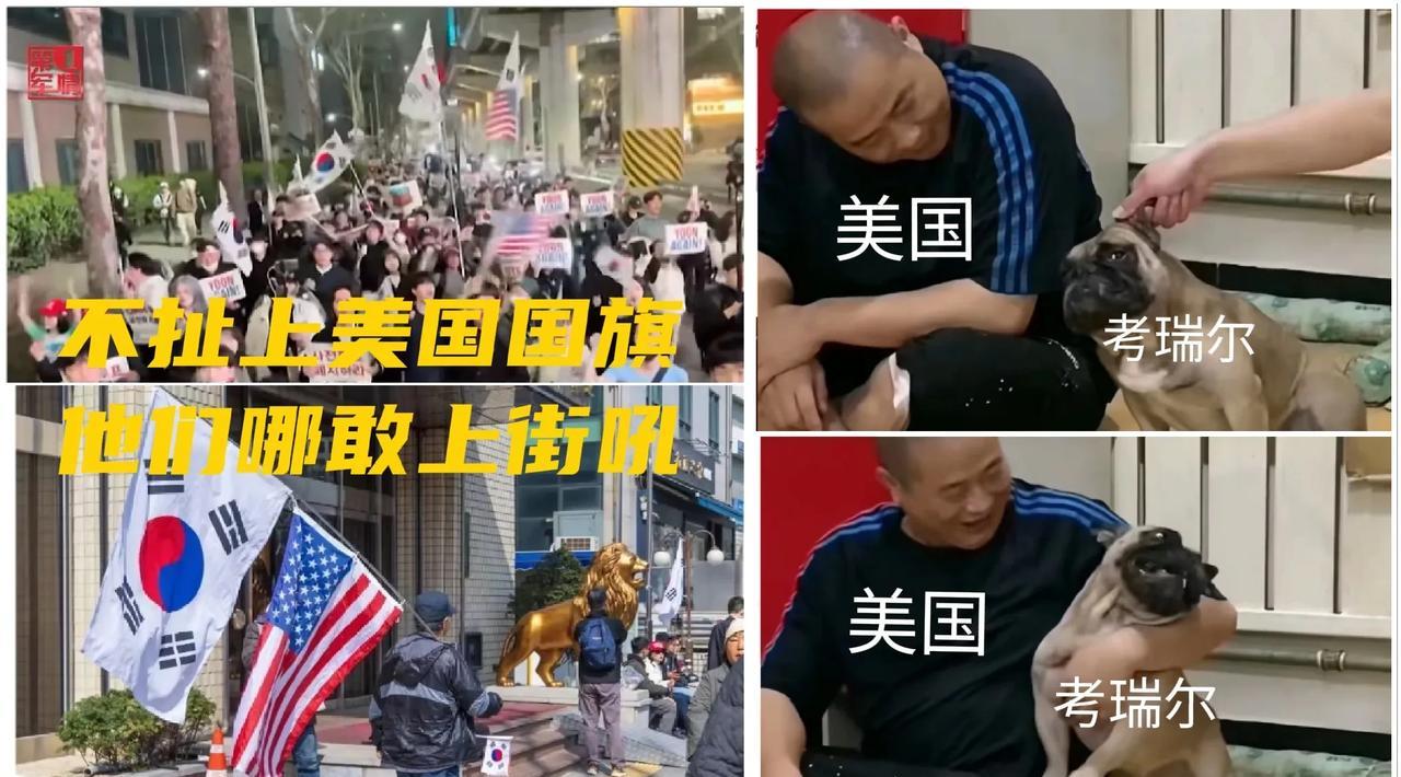 韩国人对中国有天然的恐惧感，反华还要扯上美国国旗壮胆！手里不拿个星条旗他都不敢上