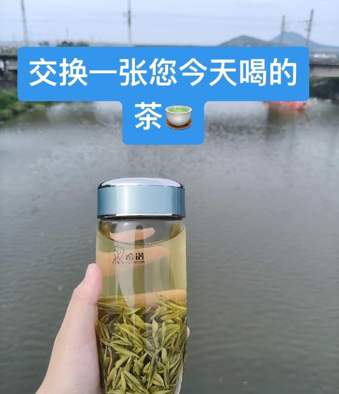 如果非要在白开水里加点东西
我希望是茶叶
由苦到甘、由浓到淡