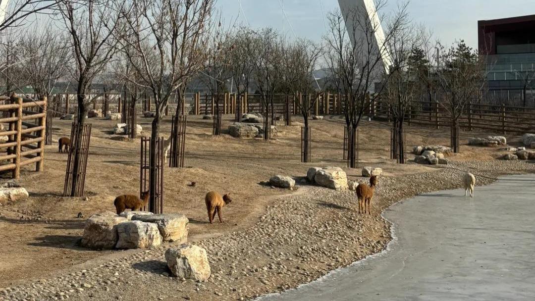 龙城萌趣新地标 | 太原动物园深度游玩攻略：在“城市绿肺”里遇见万物生灵