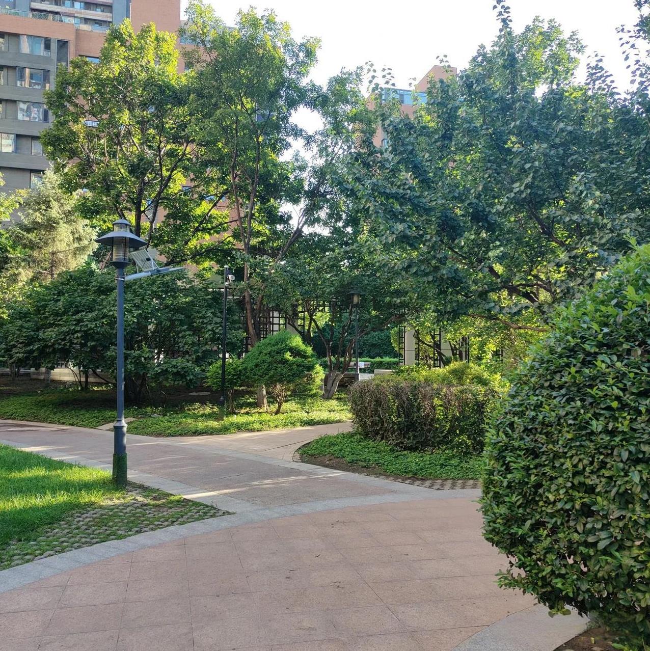 同学上午给我打电话，问我在忙啥，我说没事，退休了还能忙啥。
聊了几句后，同学对我