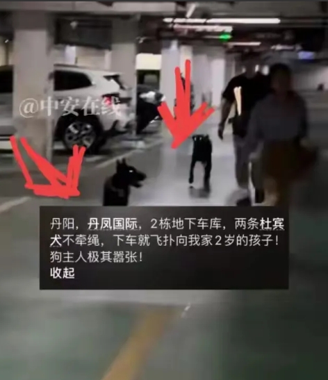 闹大了！江苏公安、镇江公安、丹阳公安抖音号，评论区炸锅了！
5月深圳有先例，对狗