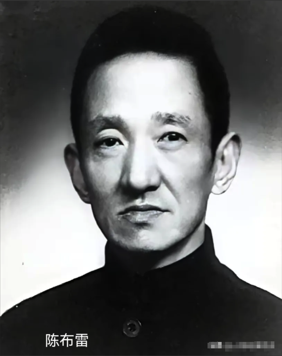 1947年，陈布雷的女儿女婿被捕，蒋介石找陈布雷谈话，询问他对此事的想法。陈布雷