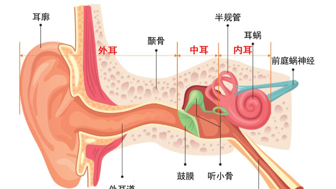 开放式耳机品牌值得推荐吗？公认好用的十款开放式耳机