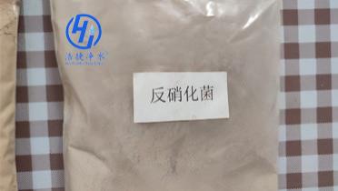 好氧菌和厌氧菌优缺点