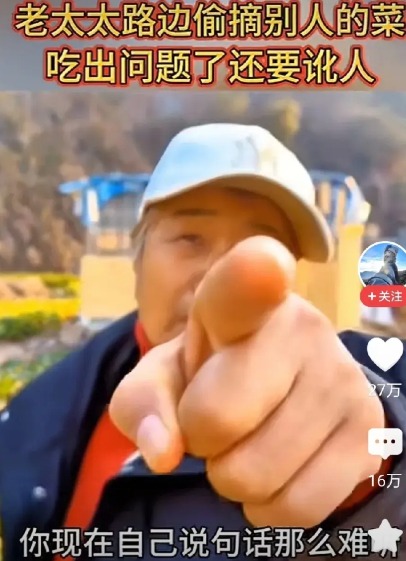 果然又是坏人变老了
近日，一菜农某音曝料，自己种的菜被一老人偷摘，回去炒给家人吃