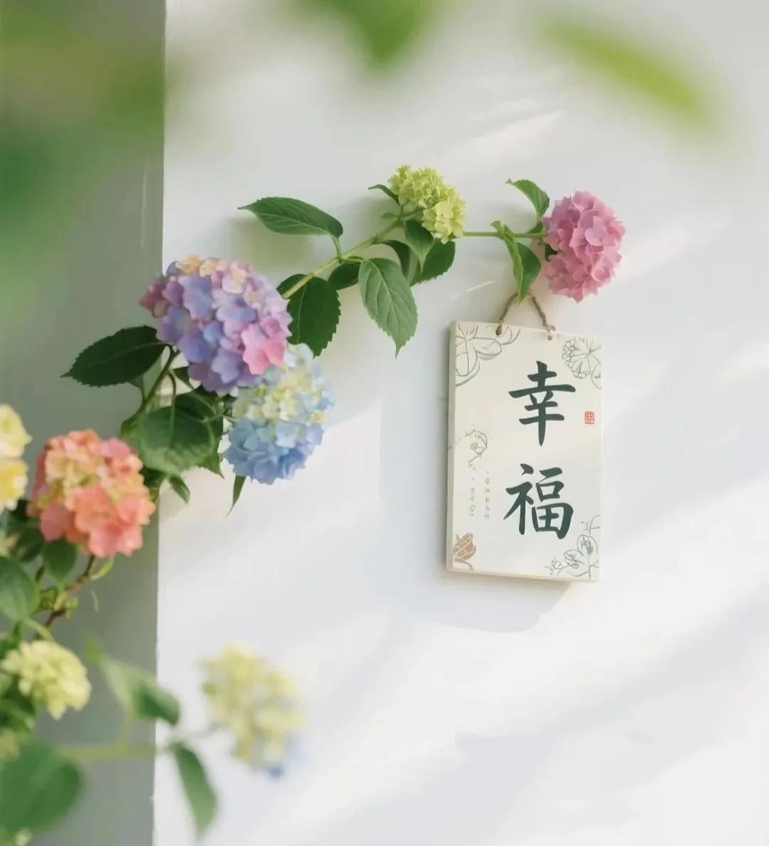 #幸福藏在点滴里# 
幸福不是银行卡的位数，
而是心里没债；
白天忙得笑出声，