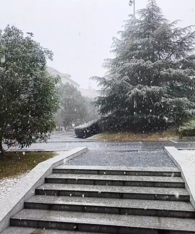 就在今天！  合肥部分区域下雪！