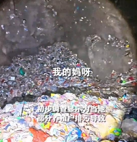 张家界150米深洞垃圾堆积如山 竟发现十年前矿泉水瓶 清理还在继续
最近湖南张家