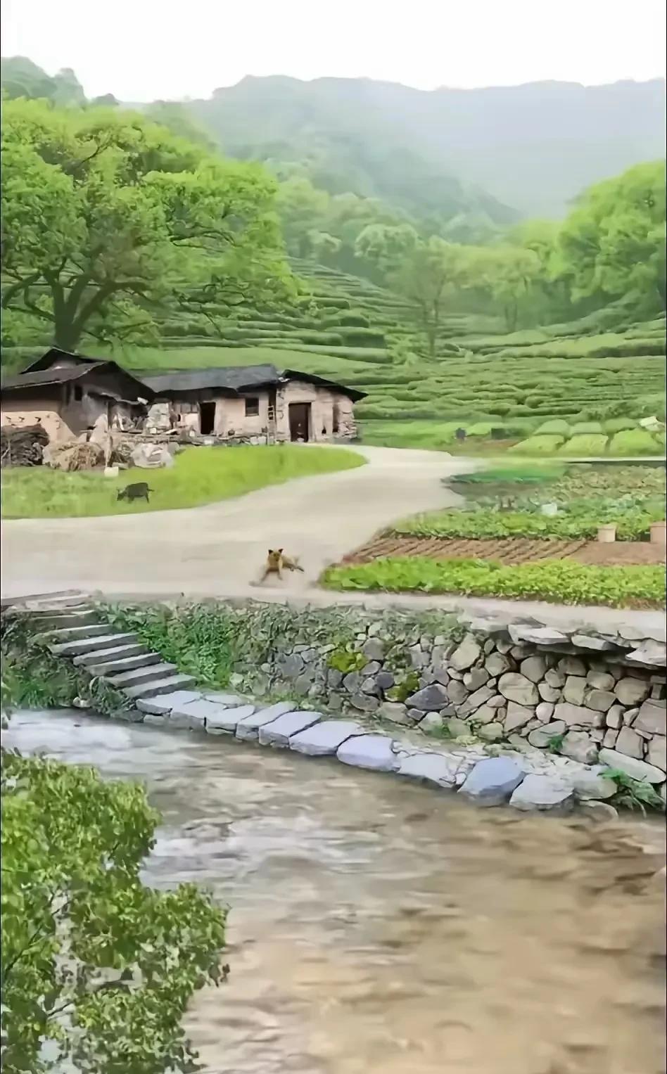 善良的存在，是为了成就更好的人，而不是喂养自私和贪婪。 当对方突破底线，或者变成