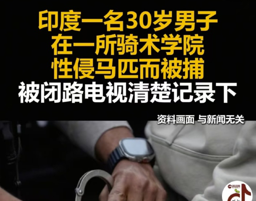 印度奇葩事：男子性侵母马被抓











这印度，简直让人大跌眼镜！你