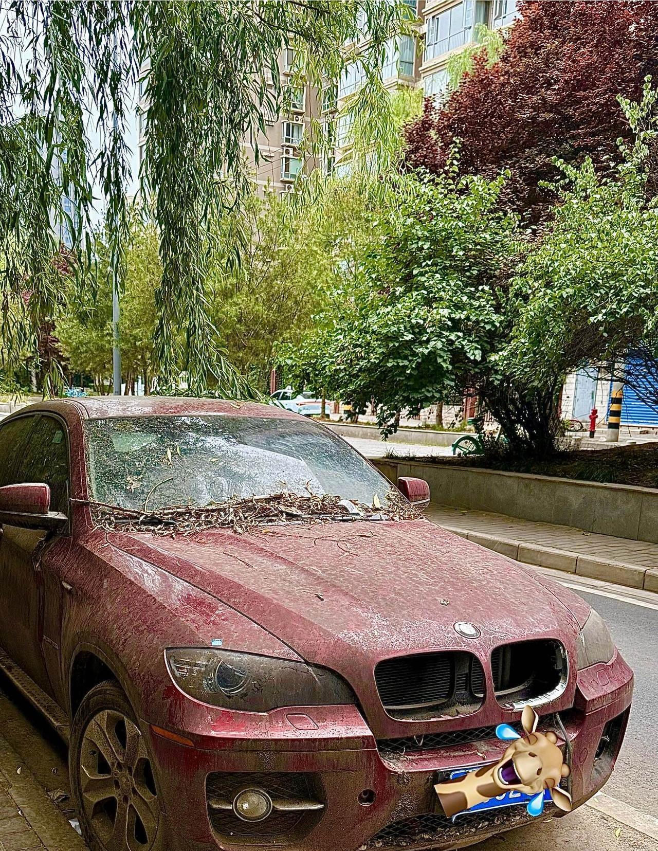 连宝马车的腰子都不放过啊！车身锈迹层层叠叠，跟艺术涂鸦似的。