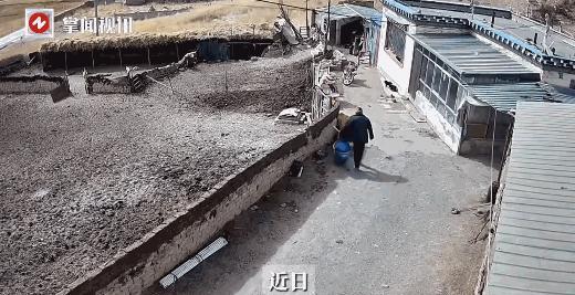 “电视剧都不敢这么演！”近日，在西藏，一位年长的村民回家途中遭遇了惊险一幕。
