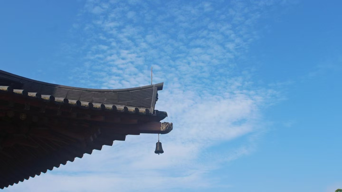 1534年，他结束了他的一生，他的一生比较复杂