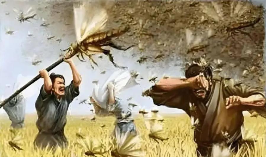 古代遭遇蝗灾饿死人，为什么没人吃蝗虫？其实古人早就想到了
公元785年，唐朝贞元