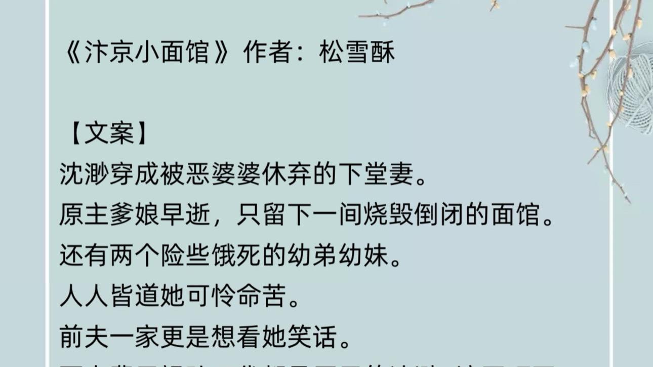 《汴京小面馆》穿越+美食：专心搞事业的女主不要太可爱！