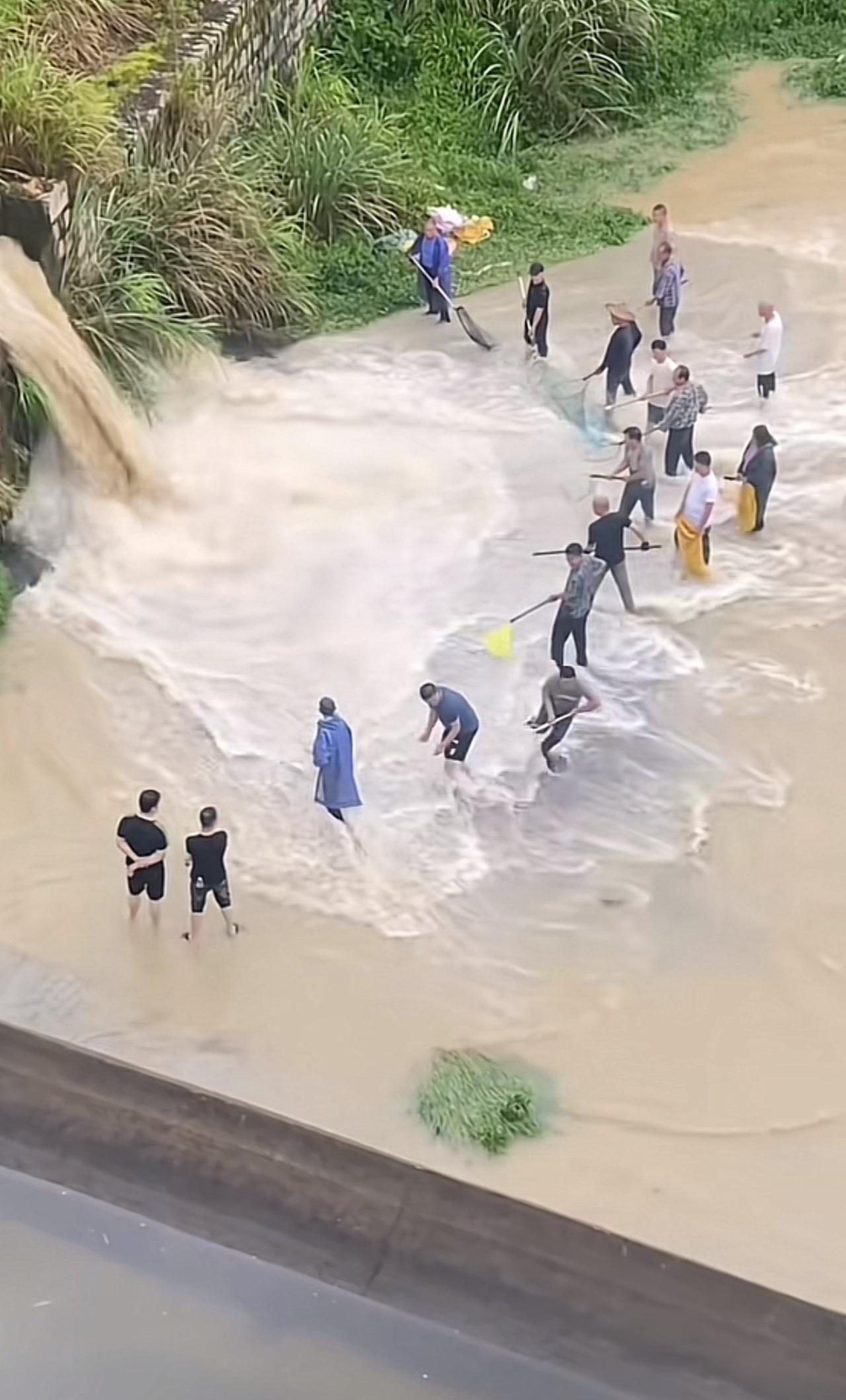涨水全村人参与了捡鱼活动！